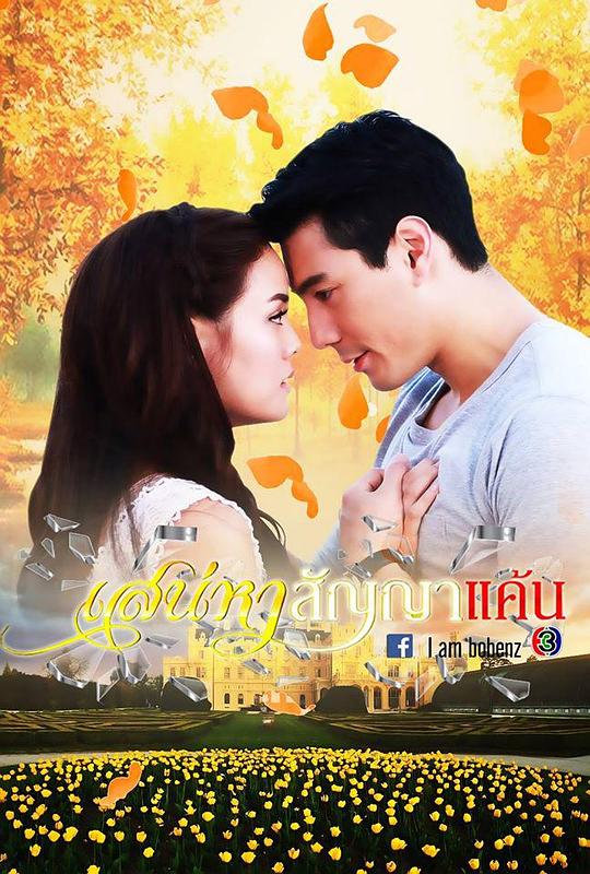 爱恨之约 เสน่หาสัญญาแค้น (2014)