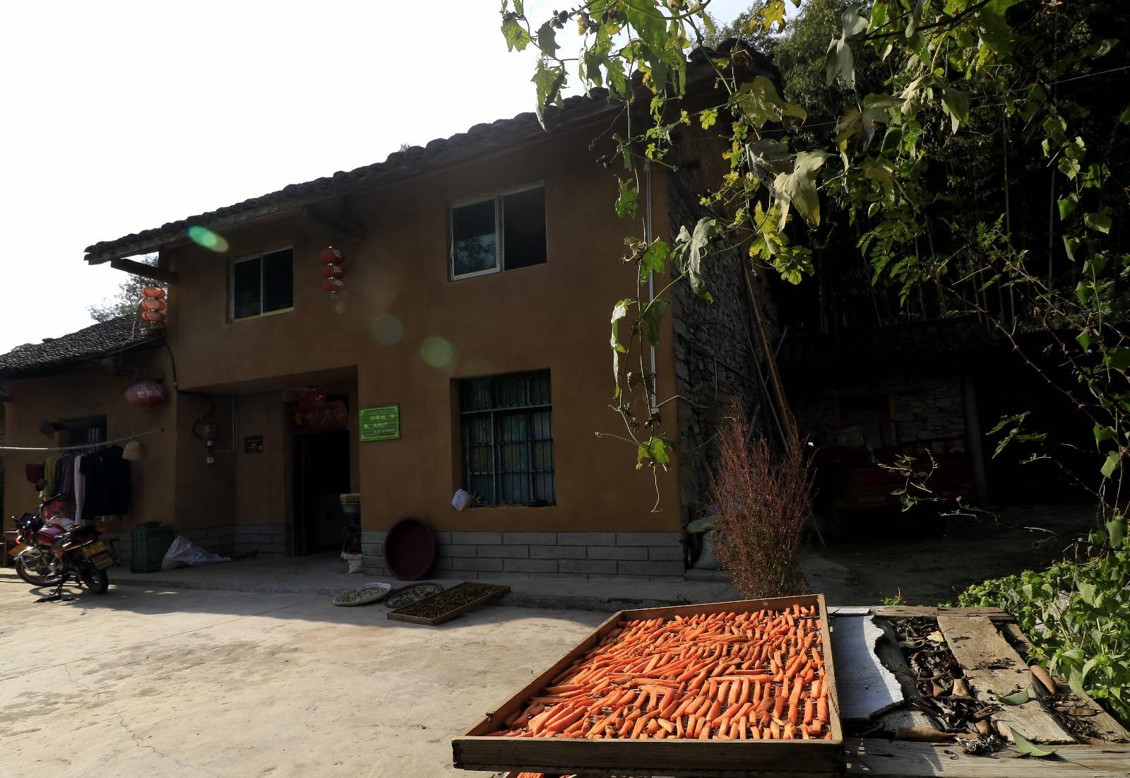 "晒秋农家"的风情画,湖北远安翟家岭秋景宜人