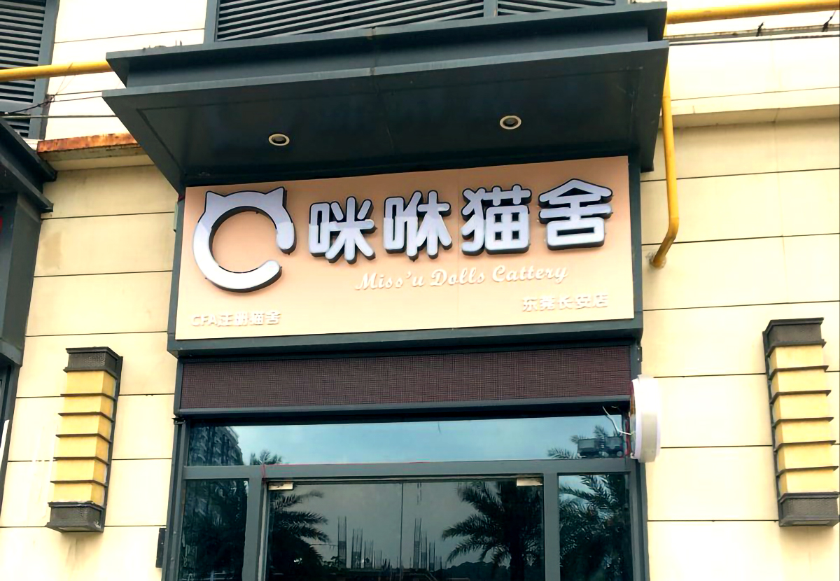咪咻猫舍加盟深度解析:养猫的人越来越多,加盟猫舍还来得及吗?