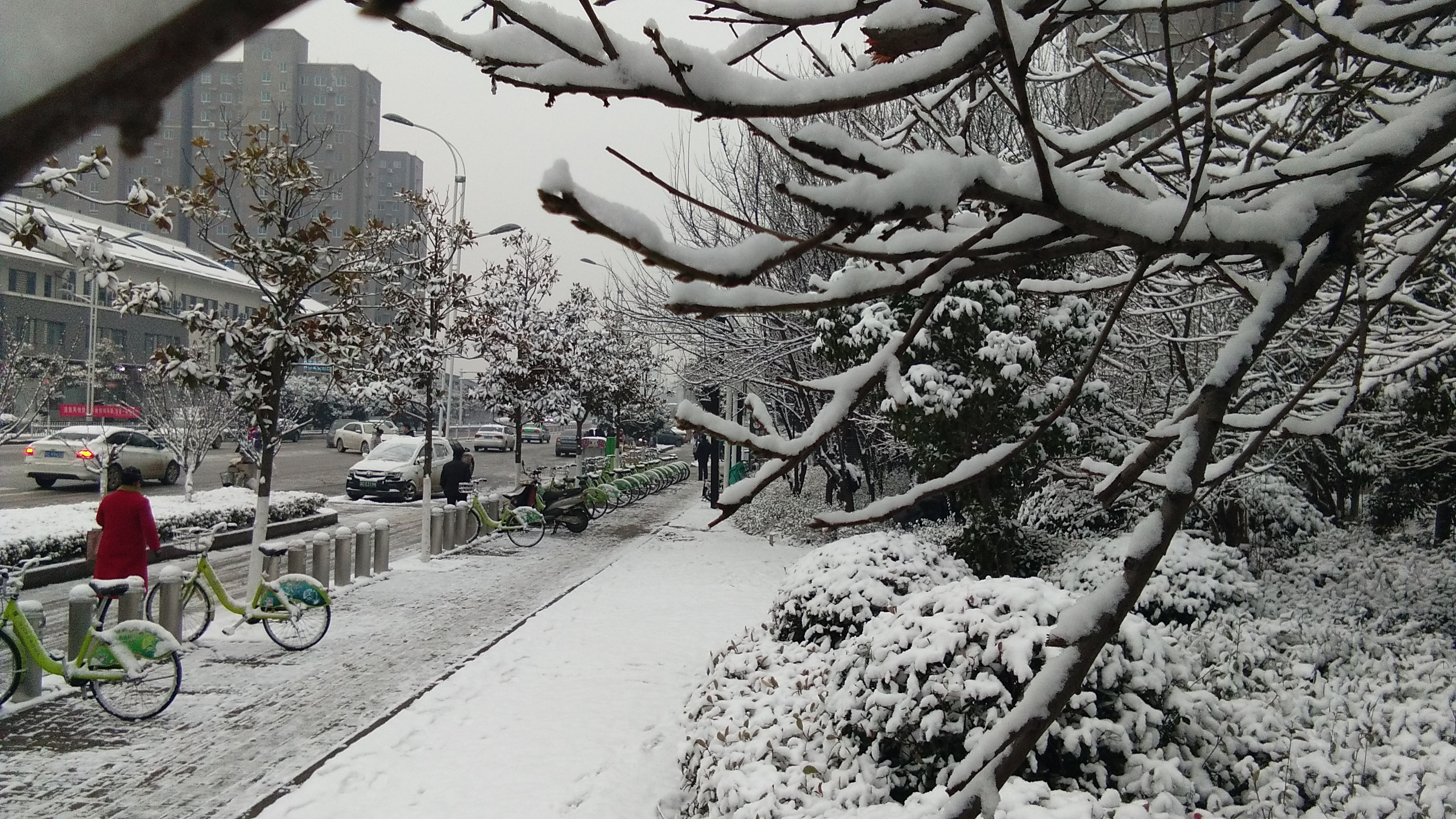 江苏徐州昨天迎来降雪,雪景美不胜收