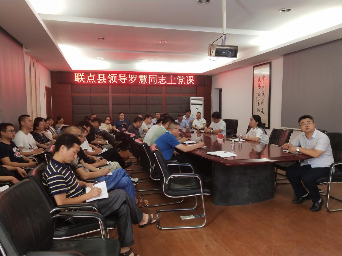 澧县大堰垱镇:罗慧部长为机关党员上党课