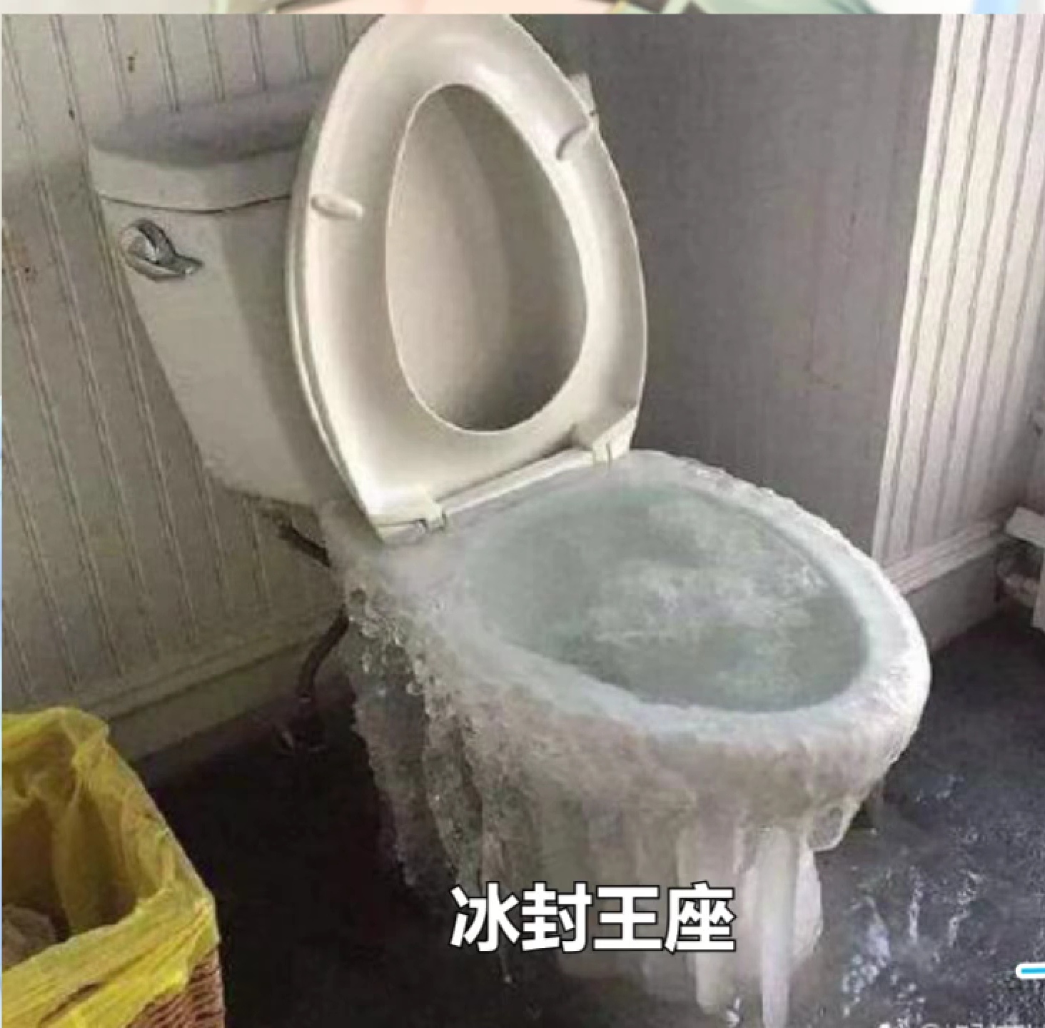 搞笑:你是在拿着狗和我打电话吗?