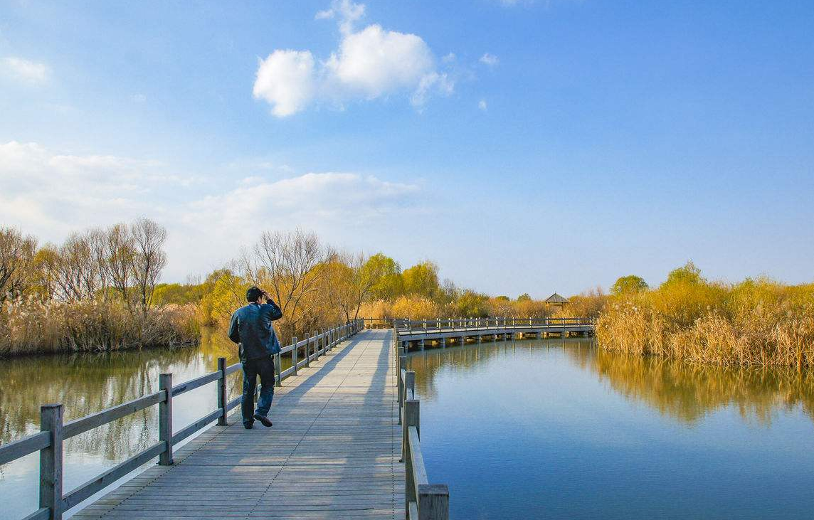 东营旅游不可缺少的景点,这里有美丽的天鹅湖,还是黄河的入海处