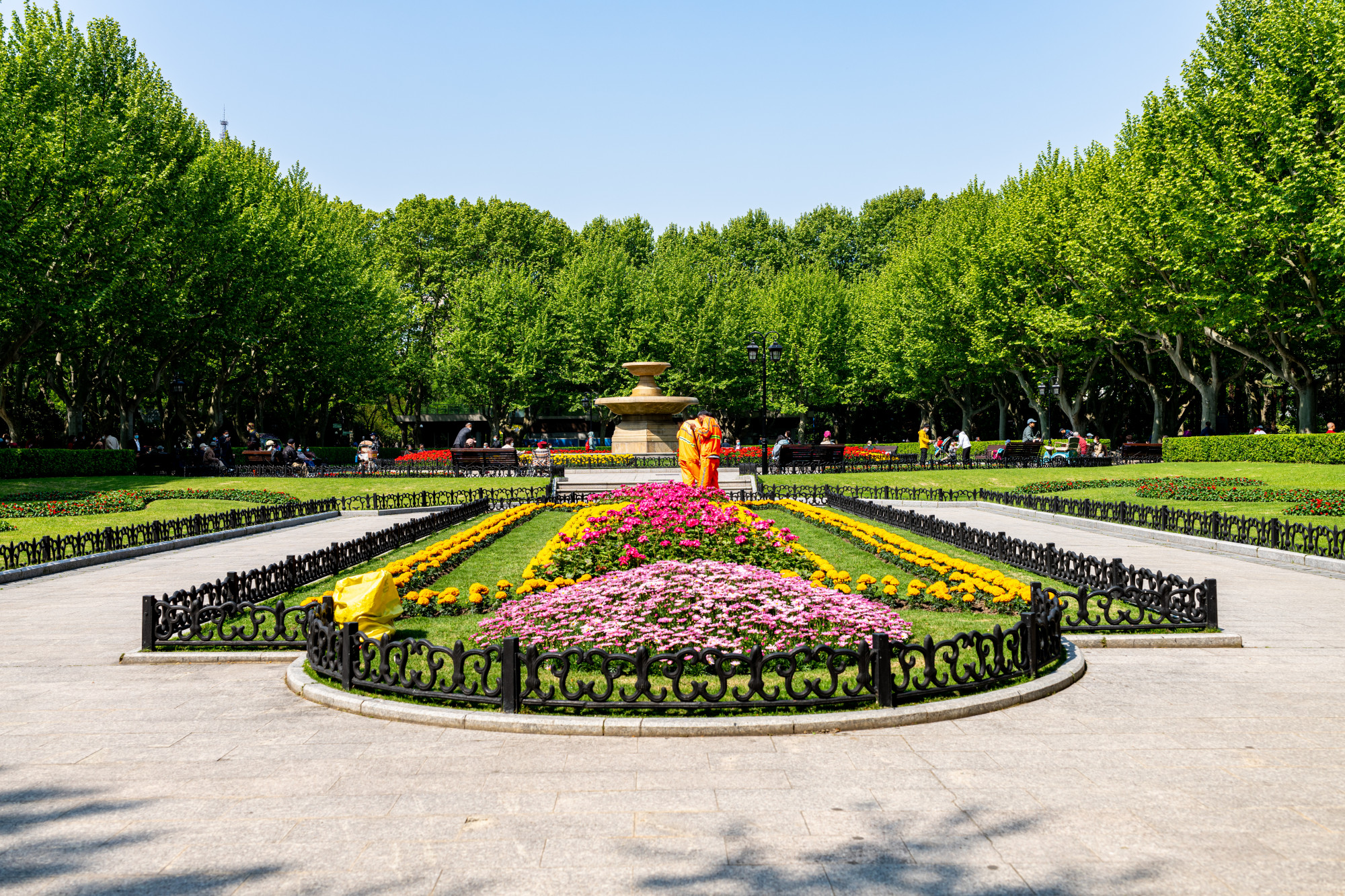 上海复兴公园.春天的故事