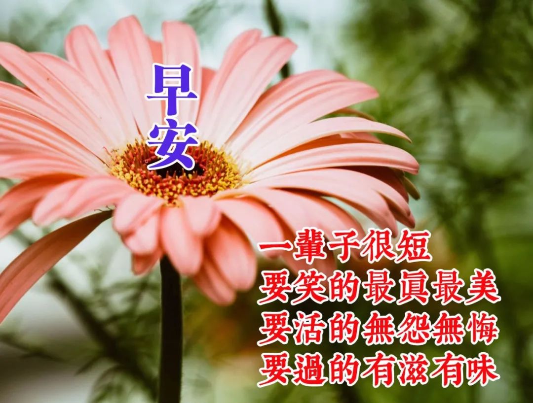 五月初夏最暖心的问候早安图片,带字带祝福的表情美图