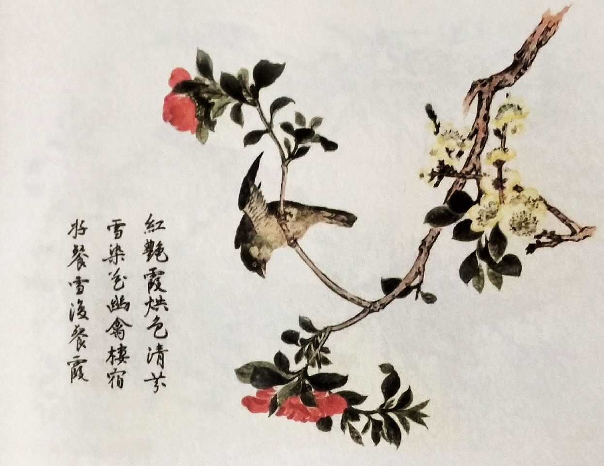 芥子园花鸟画100幅图片