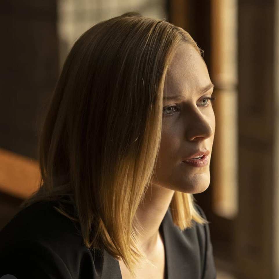 美丽和帅气并存的dolores—西部世界s03