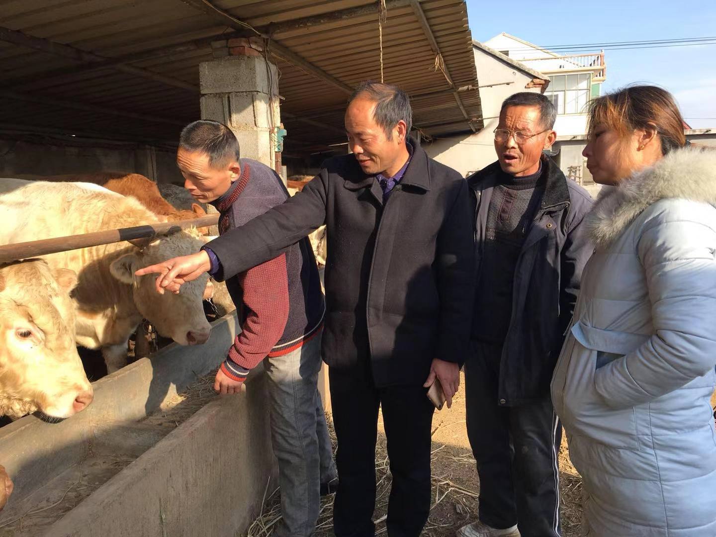 2018年12月8日,苏北天寒地冻,在连云港市赣榆区城头镇赵顶村村民陈兆