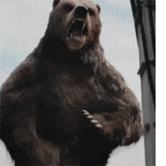 熊站立怒吼动态图图片