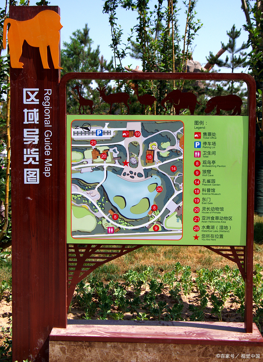 沧州动物园,休闲放松好地方,门票只要10块钱