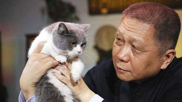 马未都:我为什么只养猫不养狗?原因其实很简单,跟这2个字有关
