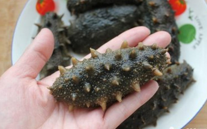 菌菇烩海参,水发海参,蟹味菇,西兰花,红椒!