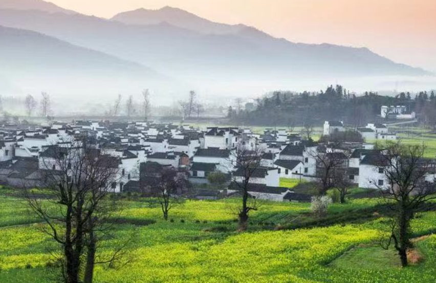 春夏季节之交——旅游拍摄江南乡村山野的油菜花开,桥边翠绿美景