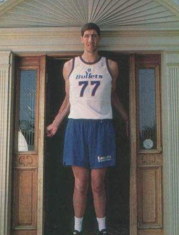 nba巨人体型是啥样?博班手掌比头大 张伯伦单手举施瓦辛格?