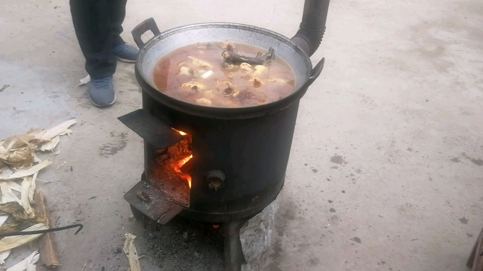 农村地道小野鸡炖蘑菇,蘑菇选材有讲究,这种味道才正,
