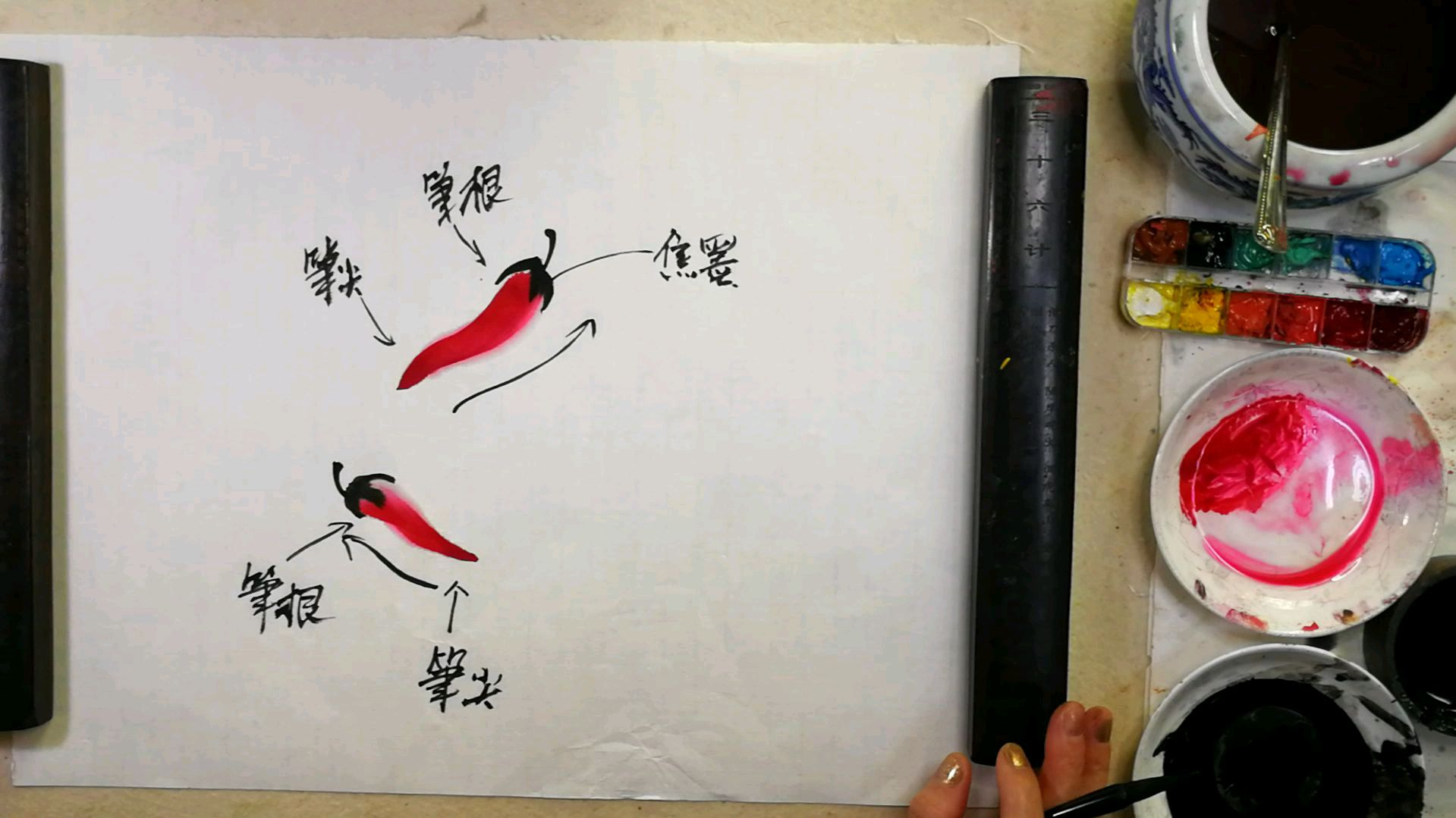 花鸟集。第九章蔬菜和水果的画法。第六节辣椒的画法与其步骤