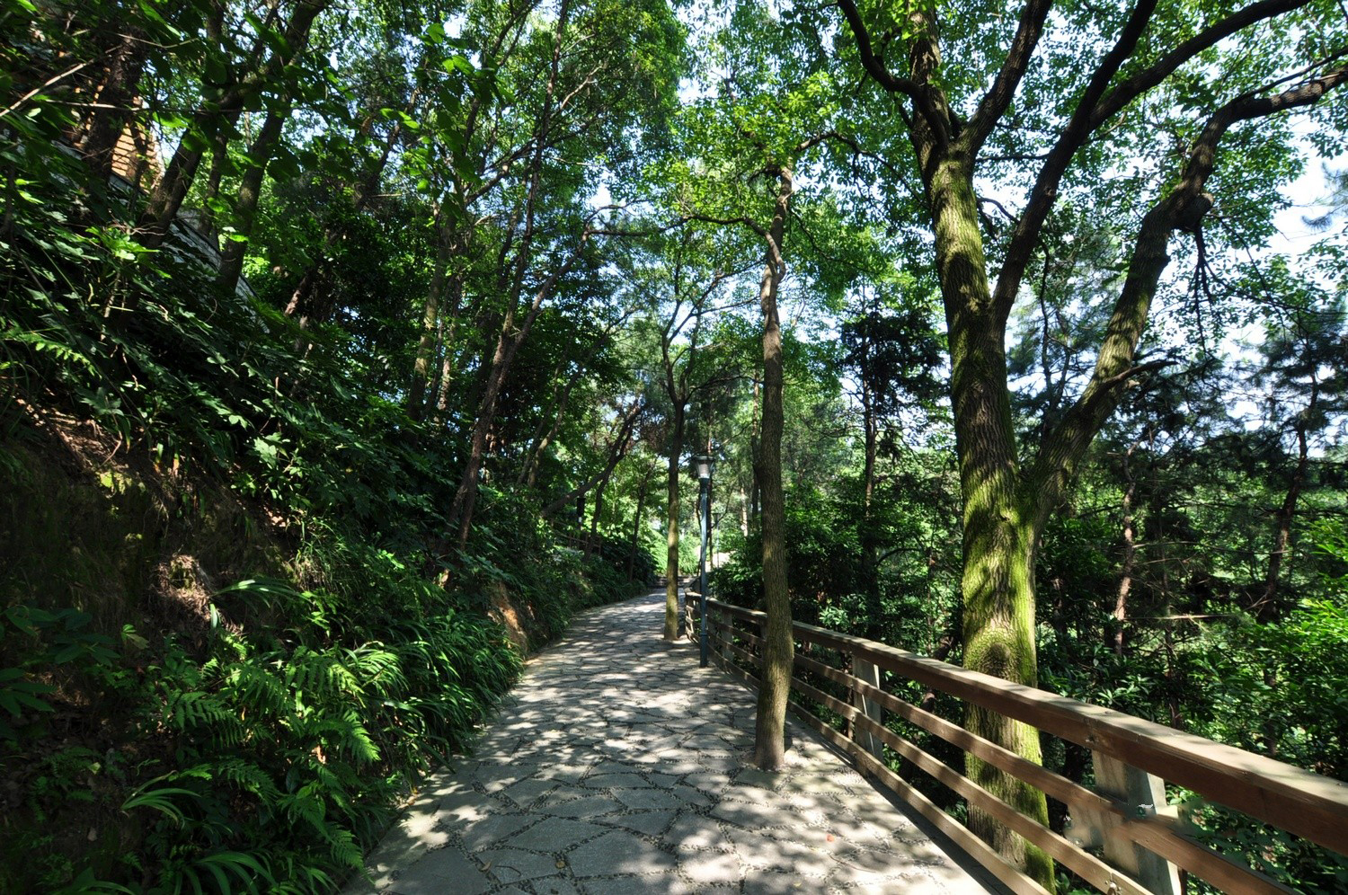 重庆景点:南山一棵树观景台