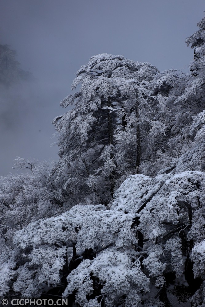 黄山雾凇图片 雪景图片