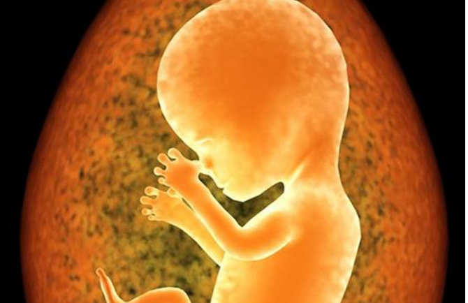 怀孕的前3个月,胎宝宝的这3点发育成型,第2点有很多人想知道!