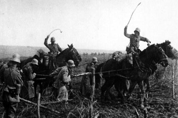 二战日军的挽马师团与驮马师团有何不同,挽马与驮马有何区别?