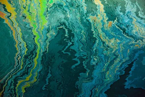 「微辣」黑臭水体整治"一填了之",本质上是一种不负责任的懒政