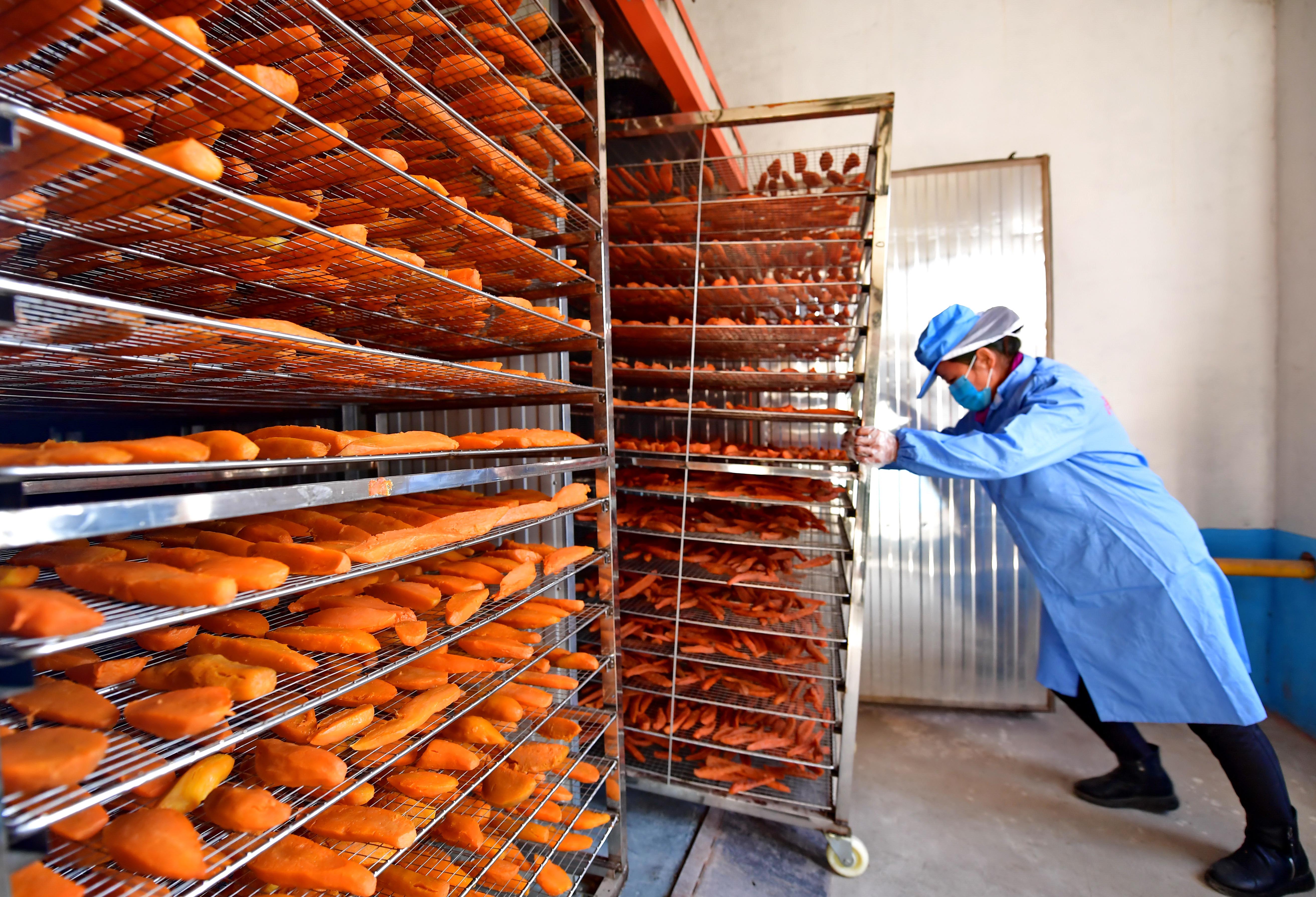 河北滦州:农产品深加工"大商机"(2)