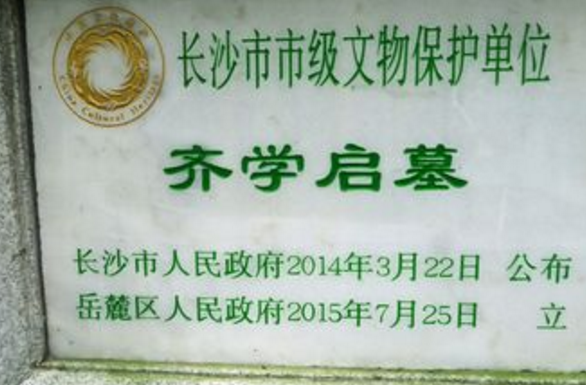 美军战俘眼中的远征军齐学启将军