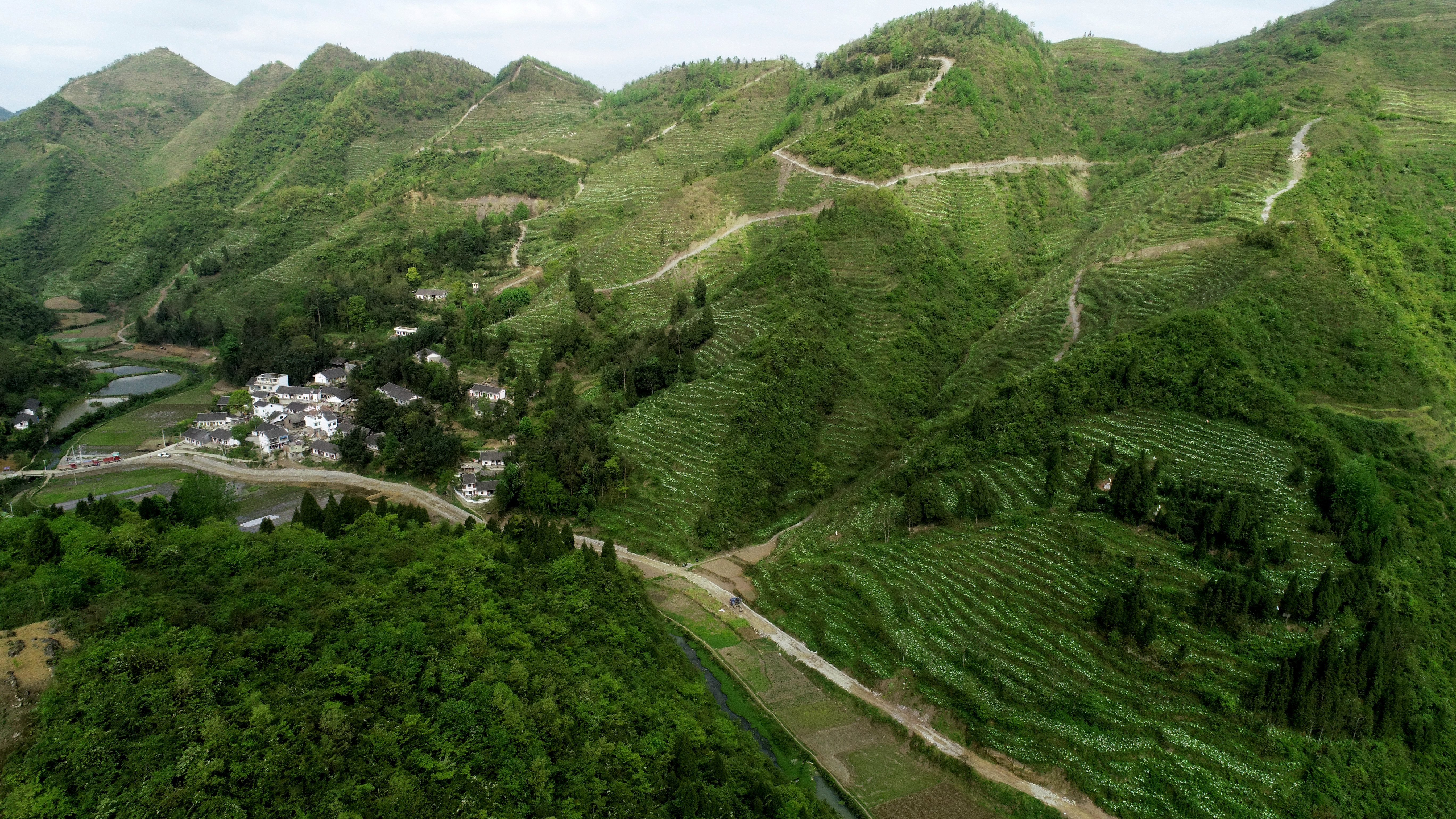 宜良玉龙村图片