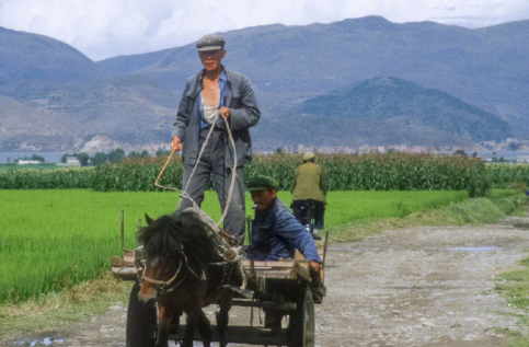 田间的马车,身后是重重的青山. 田间的马车,身后是重重的青山.
