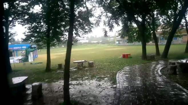 [图]冒雨拍摄:雨不洒花花不红！