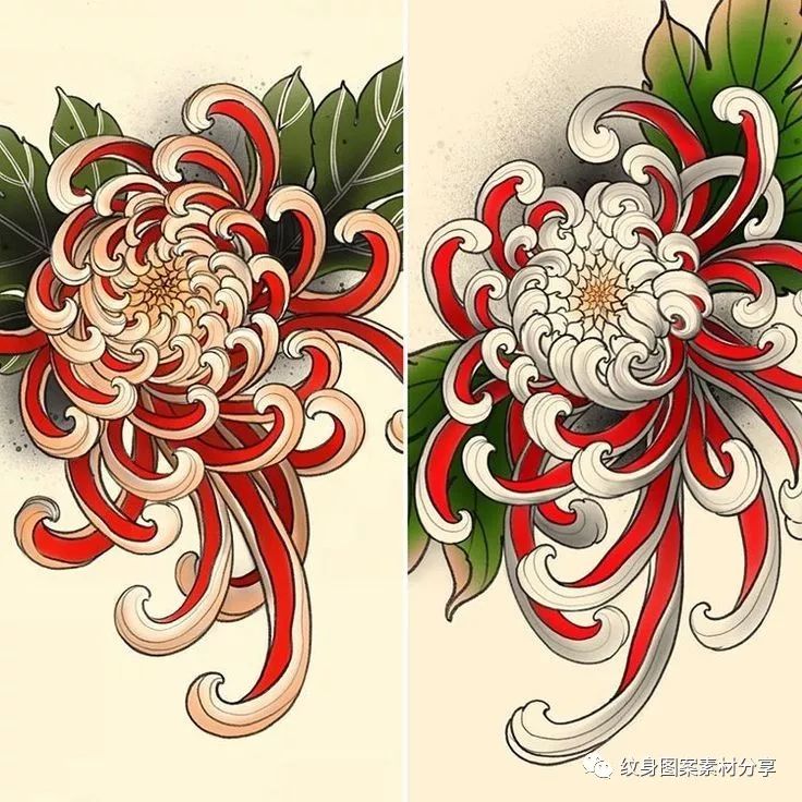 传统风格菊花纹身手稿