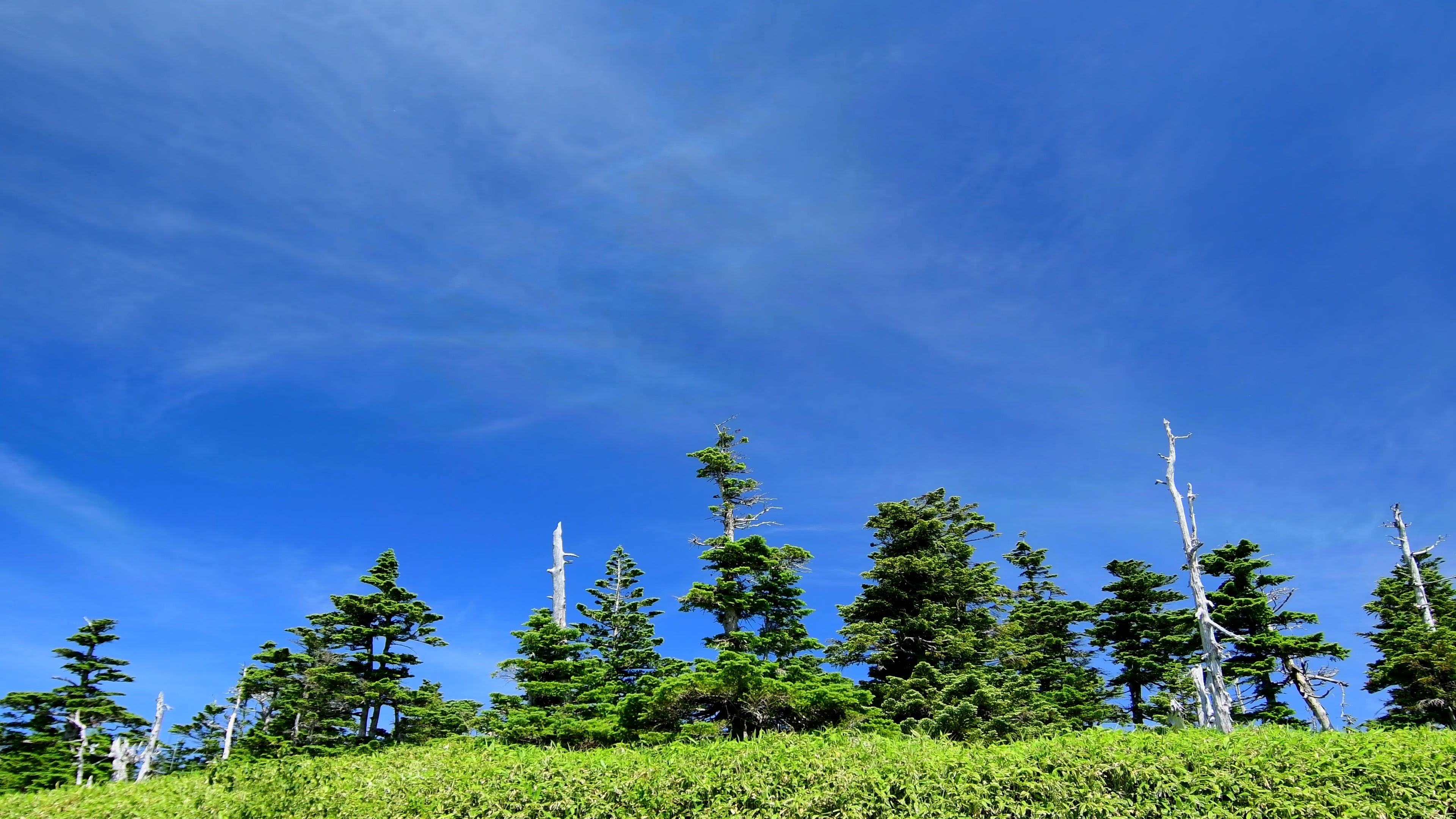 郊外的风景 | 晴天