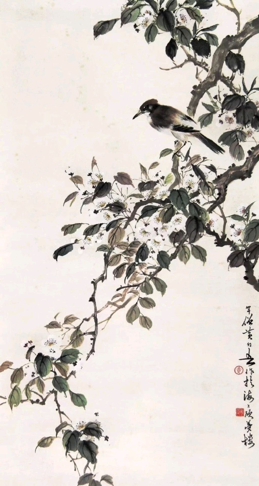 黄幻吾 花鸟画作品欣赏,美!