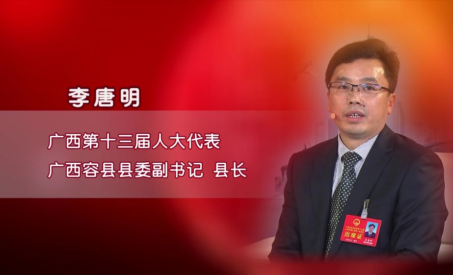 2018"两会访谈"特别节目|陆川县县长刘启,容县县长李唐明专访