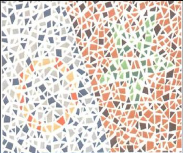 权威色盲测试图,能看出来最后一张,有成为飞行员的天赋