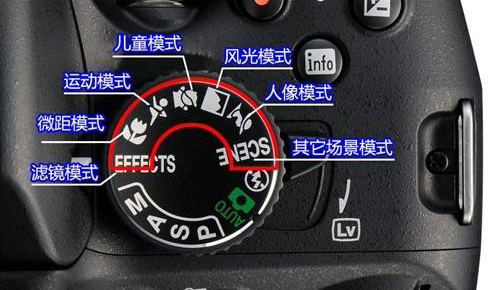 相机使用技巧,摄影常用小技巧,让摄影小白都能拍出漂亮的照片!