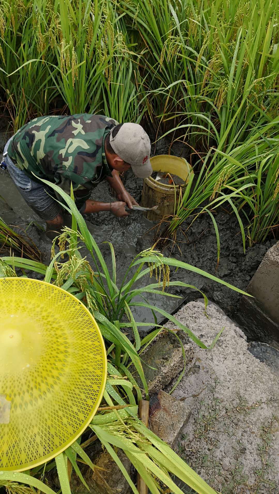 中元节杀鸭子,据说奈何桥太拥堵鸭子来当渡船,这里的人一日两餐