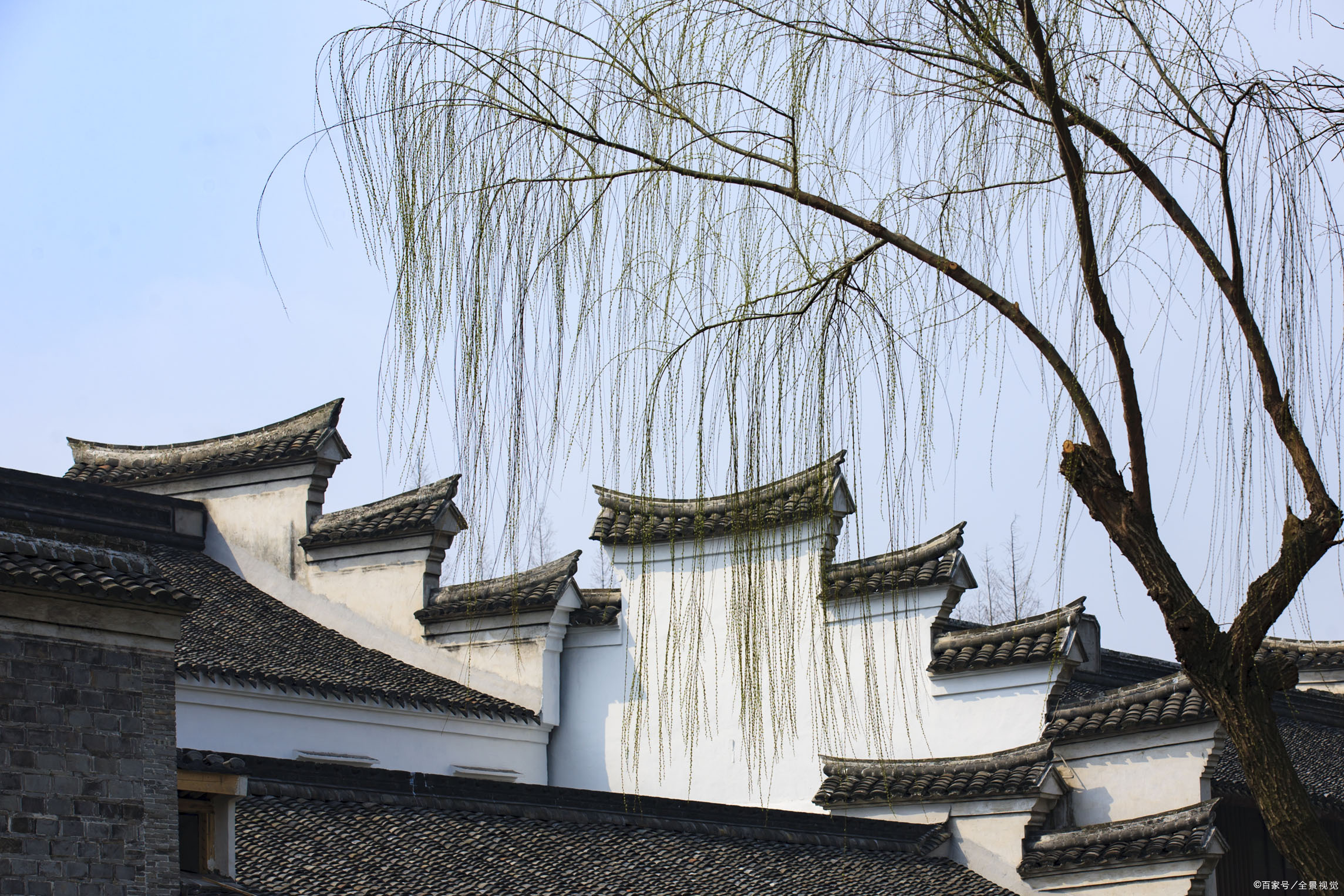 这个花厅真稀奇,置身其间再浮躁的心也会静下来,不信你去试试