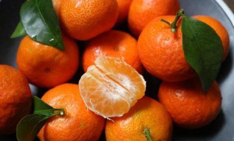 砂糖蜜桔的功效与作用禁忌(砂糖桔子的功效与作用是什么)