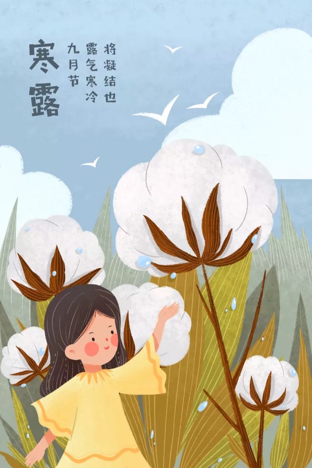 寒露插画手绘 寒露,九月节,露气寒冷,将凝结也