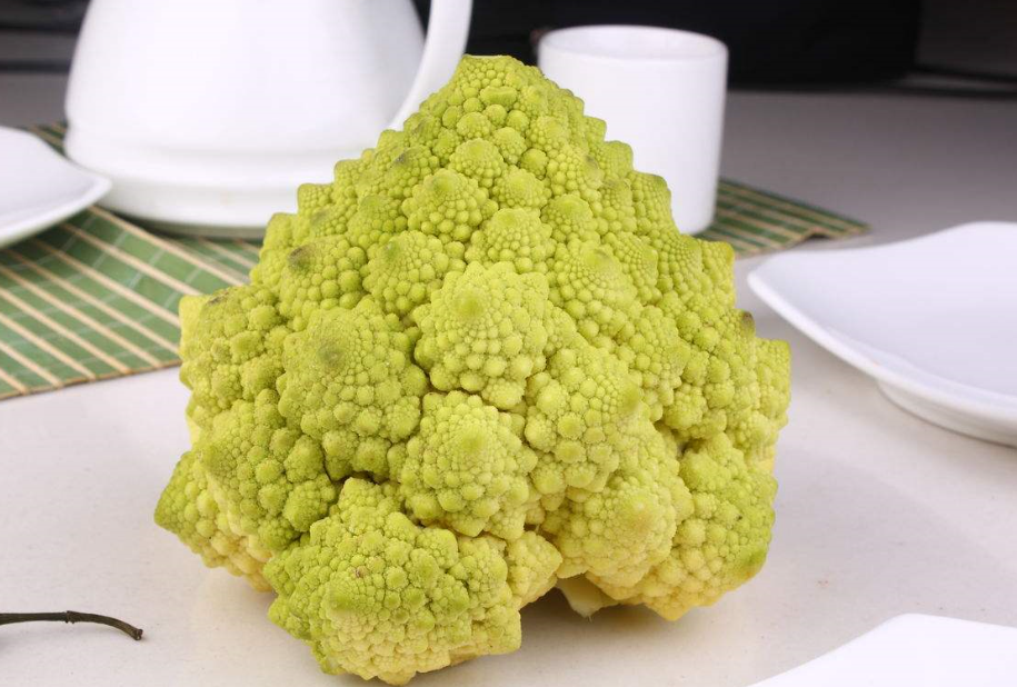 塔菜也叫菊花脑,它属于菊科植物,主要生长在中国的