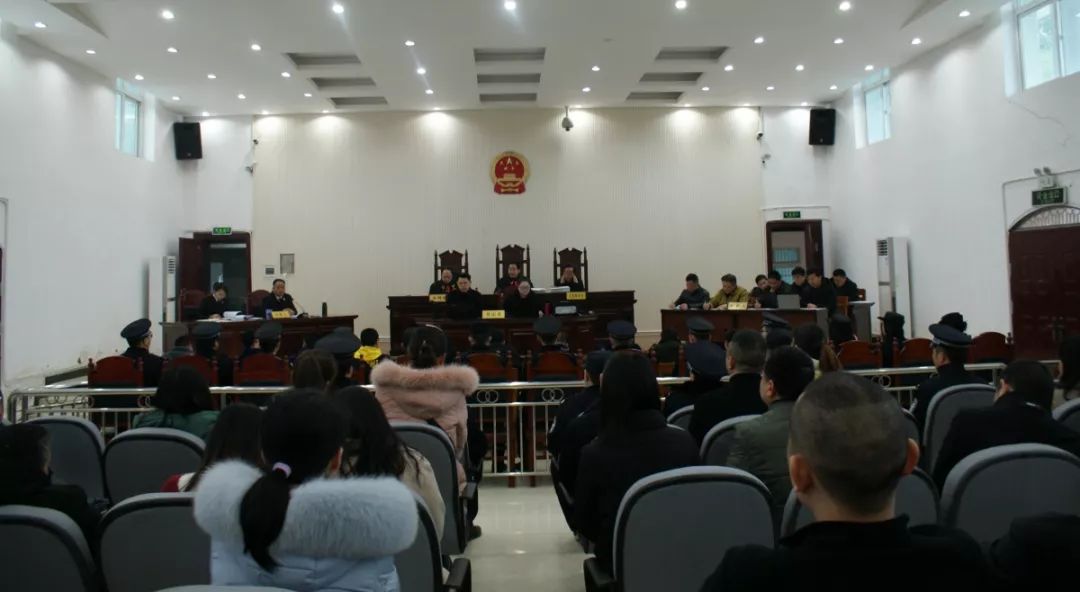 大通湖区检察院起诉倪某等13人恶势力犯罪集团