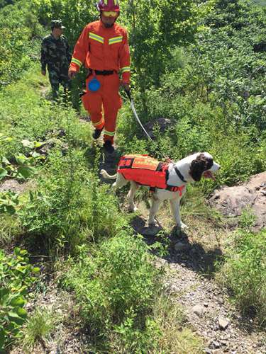 女驴友凤凰岭失联第九天 搜救犬已进山