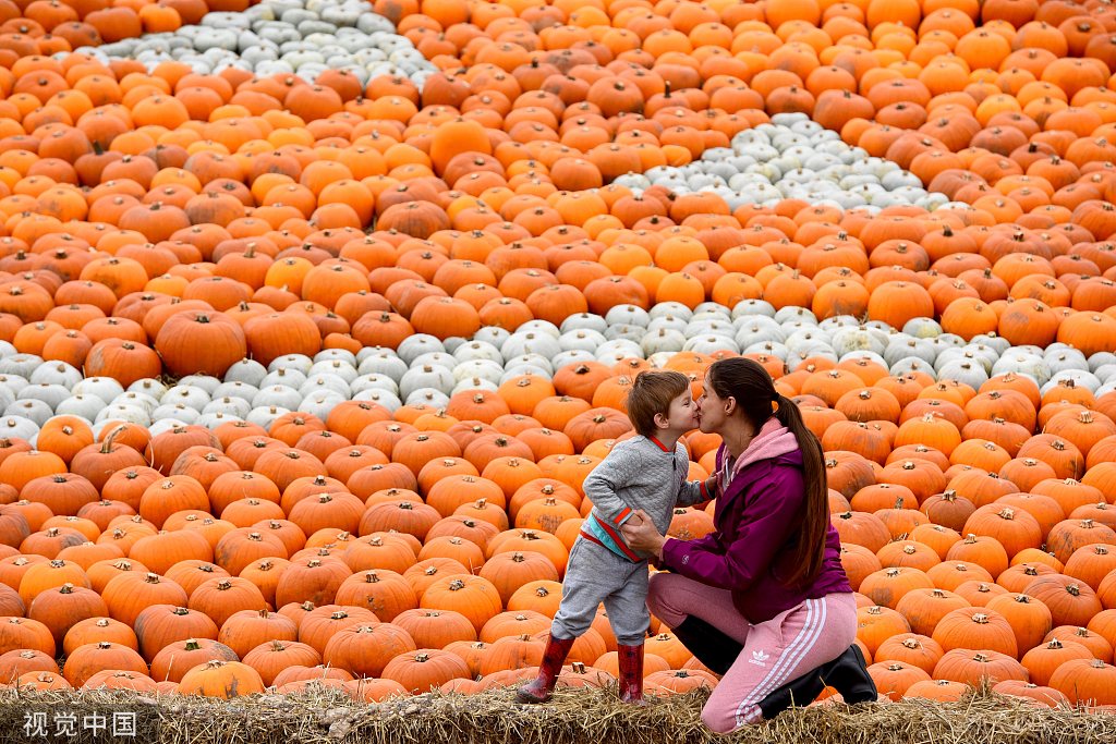 万圣节将至 英国农场堆出8米高"大脸南瓜山"