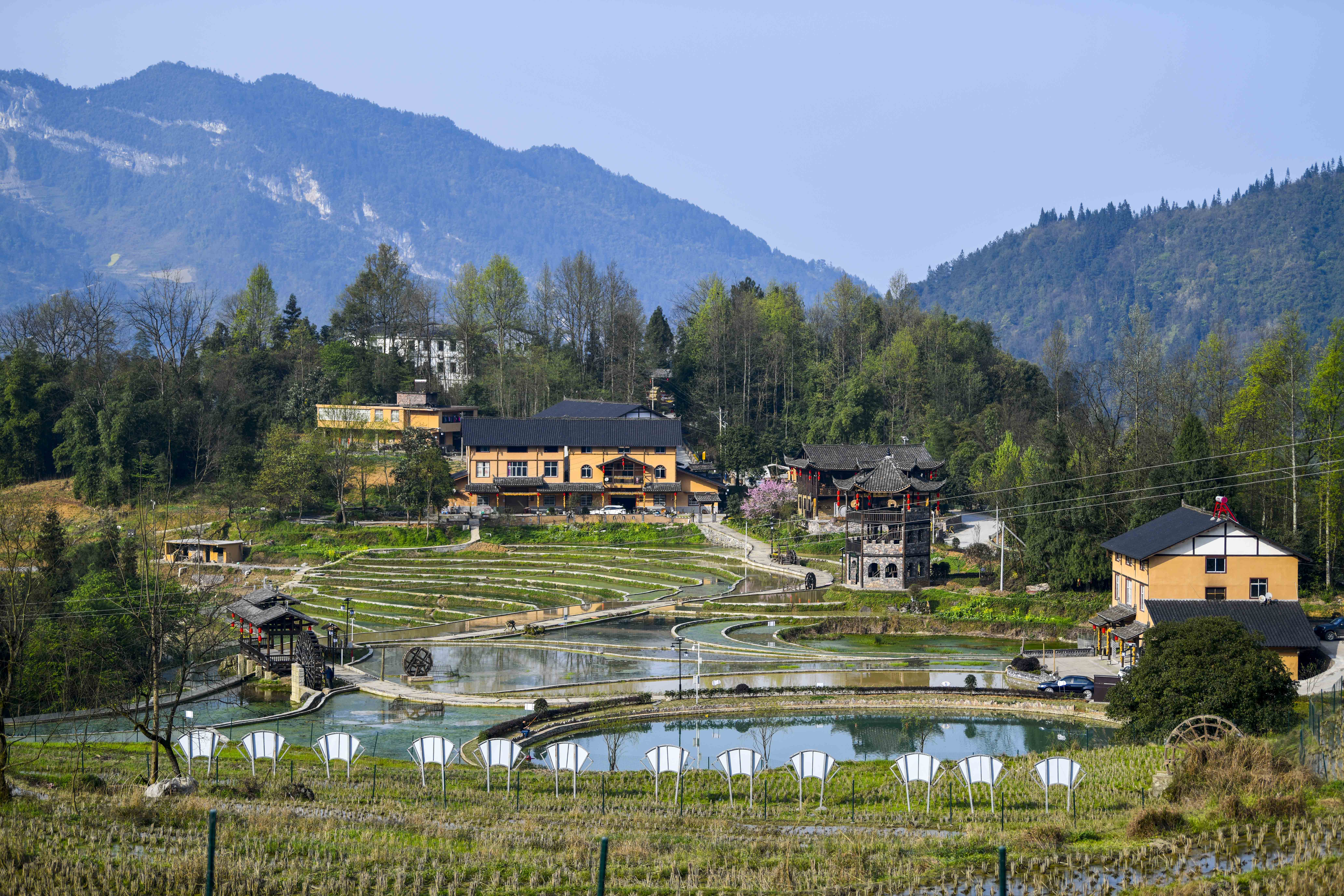 重庆武隆复兴村:小小"微田园" 引领"大转变"(6)