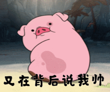 猪的段子和搞笑动图表情包(16图)