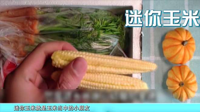 [图]小玉米小番茄小胡萝卜……迷你蔬菜是怎么来的？