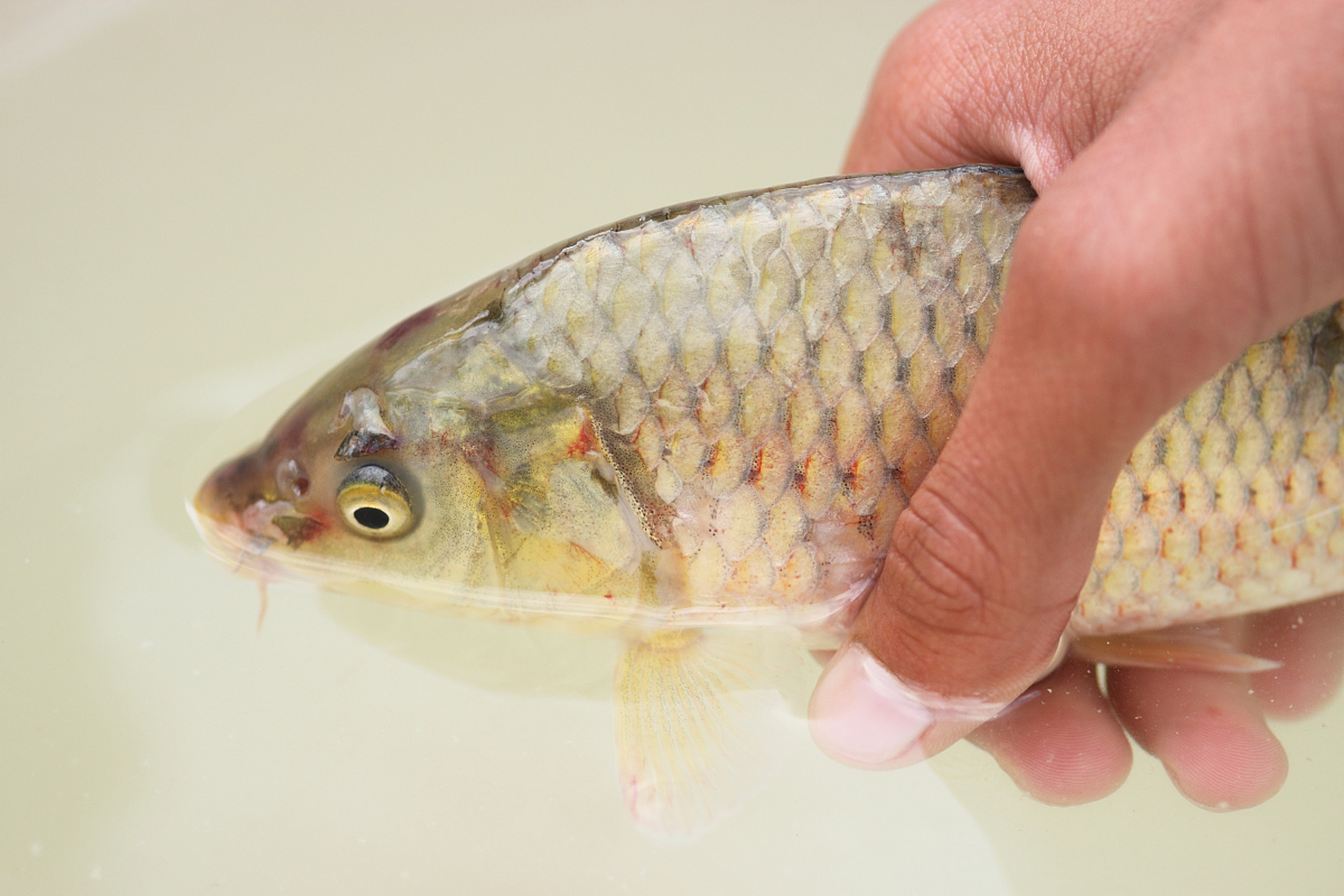 生活小技巧,帮你解烦恼,生活更美好!