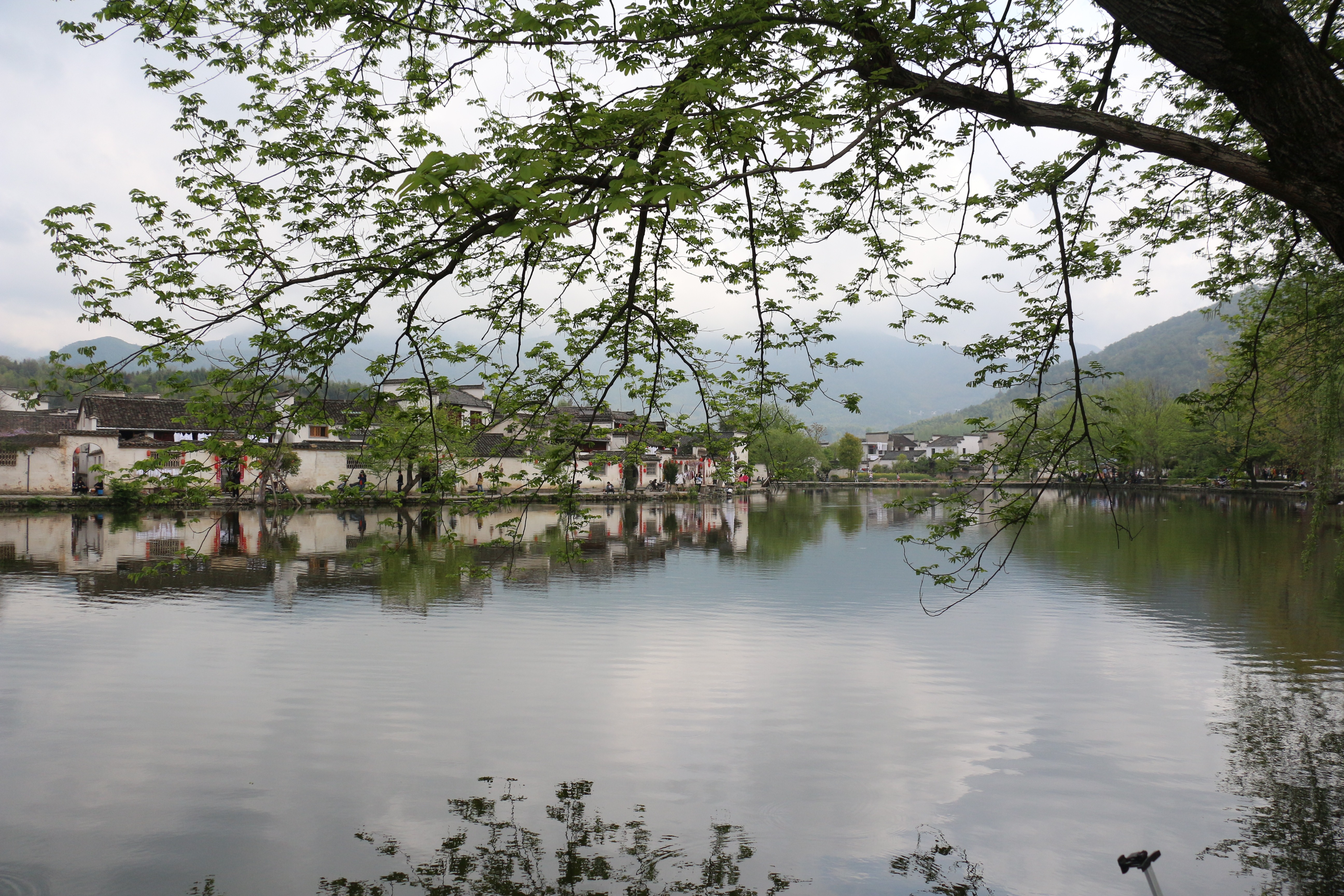 外来游客来中国旅游,最喜欢这三样东西,有你喜欢的吗?