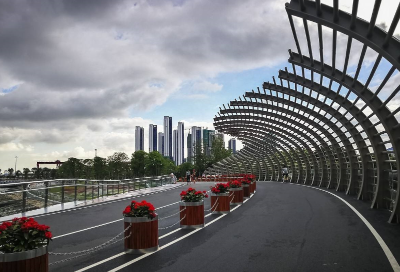 深圳湾公园:依着美丽的滨海大道而建,靠着大海